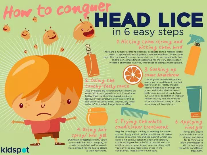 又闹虱子！还是变异的！长过虱子的娃更容易被传染！！