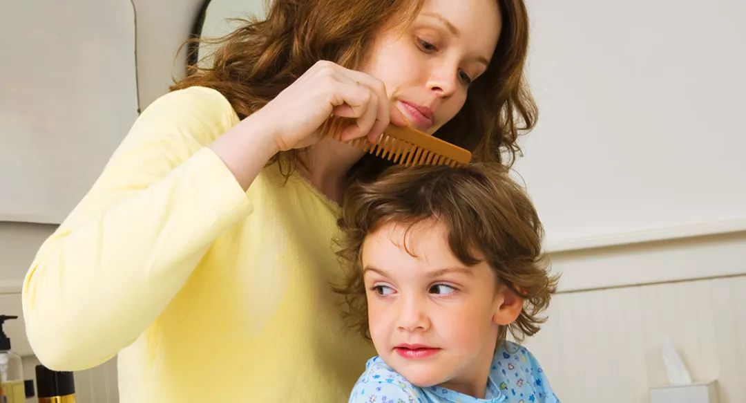 又闹虱子！还是变异的！长过虱子的娃更容易被传染！！