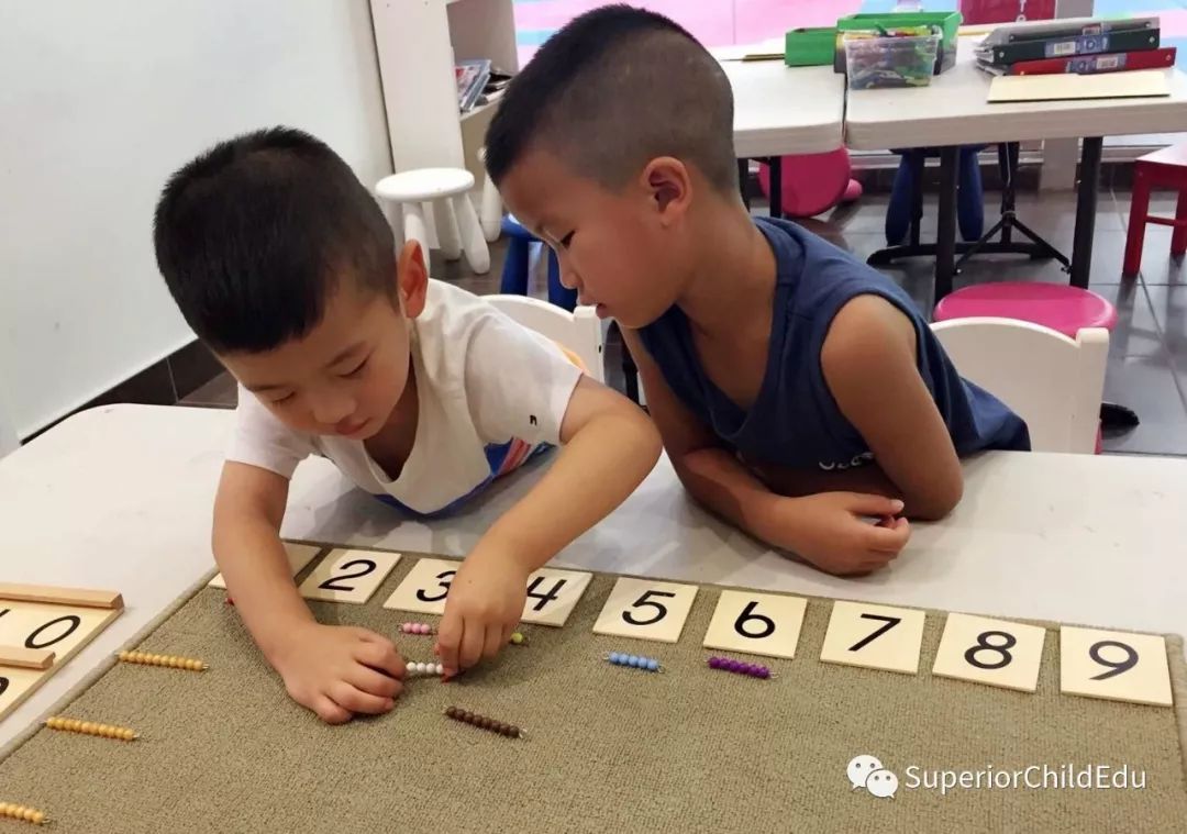 Let's Be Superior Child！2019“多元智能”夏令营，有你吗？