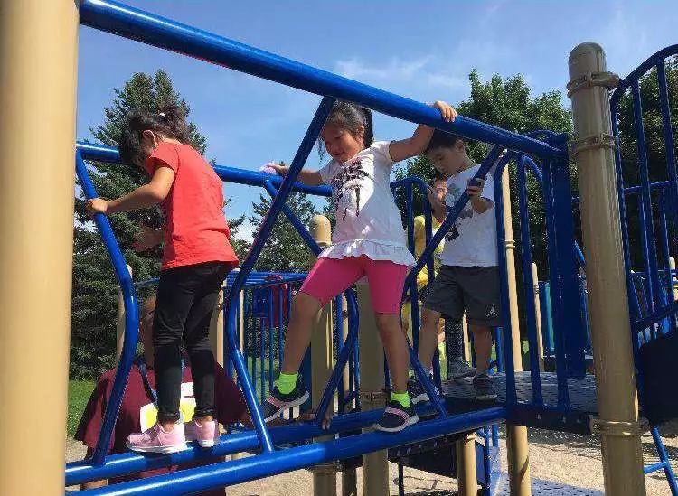 YRDSB、TDSB老师也来教课?这个夏令营我喜欢! YRDSB、TDSB老师也来教课?这个夏令营我喜欢!