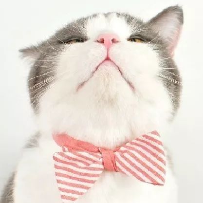 9岁孩子跳楼自杀，只因打碎了玻璃：他不怕死，怕惩罚...