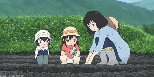 【福利】我爱种花:免费领向日葵种子,手慢无!