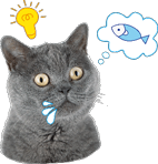 多伦多现在可以在家买菜了?!! 多伦多现在可以在家买菜了?!!