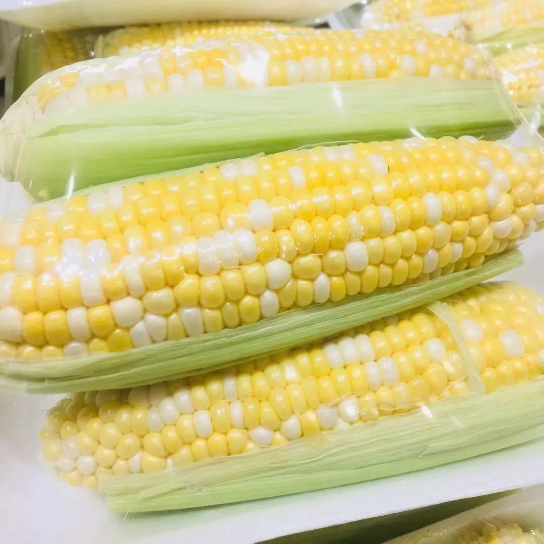 多伦多现在可以在家买菜了?!! 多伦多现在可以在家买菜了?!!