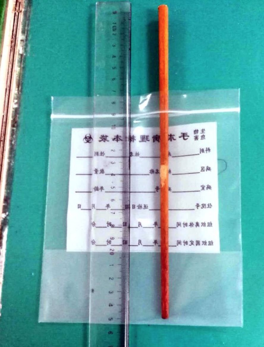 3岁孩子拿着筷子乱跑跌倒，筷子插入颅内10厘米......