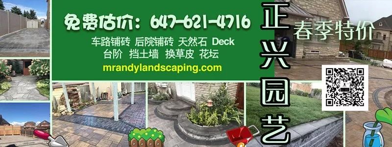 垃圾回收是个“大骗局”，那我要怎么丢垃圾？