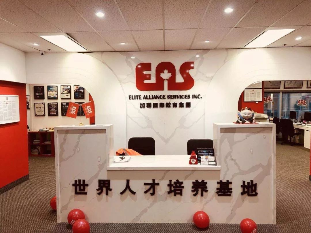 搞了一次装修,我活成了大哥的大哥... 搞了一次装修,我活成了大哥的大哥...