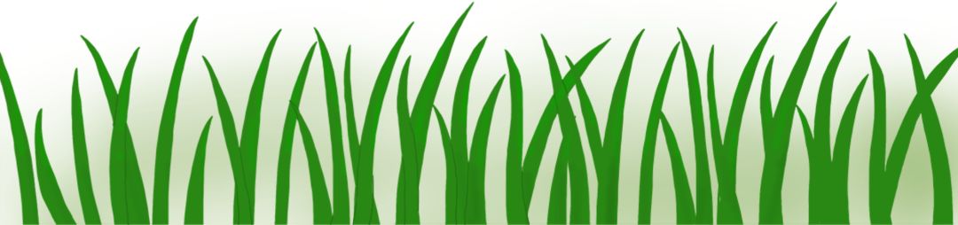 有毒！越不起眼越有毒！多伦多这些常见的花花草草千万别让孩子碰！