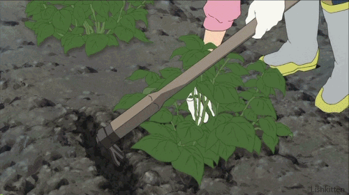 春天买【土】买不对,你家园子秃一年(内附买土折扣) 春天买【土】买不对,你家园子秃一年(内附买土折扣)