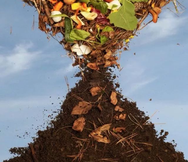 春天买【土】买不对,你家园子秃一年(内附买土折扣) 春天买【土】买不对,你家园子秃一年(内附买土折扣)