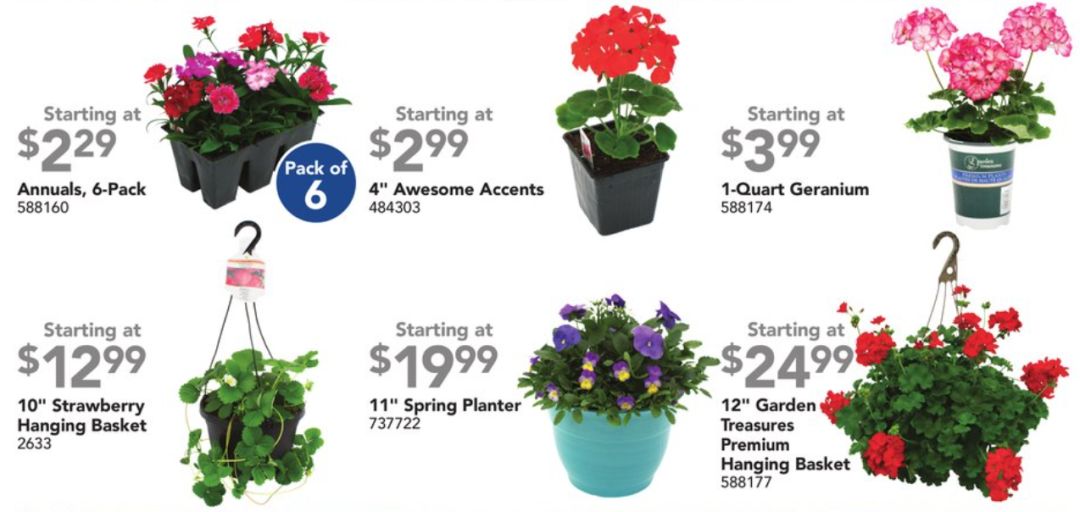 春天买【土】买不对,你家园子秃一年(内附买土折扣) 春天买【土】买不对,你家园子秃一年(内附买土折扣)