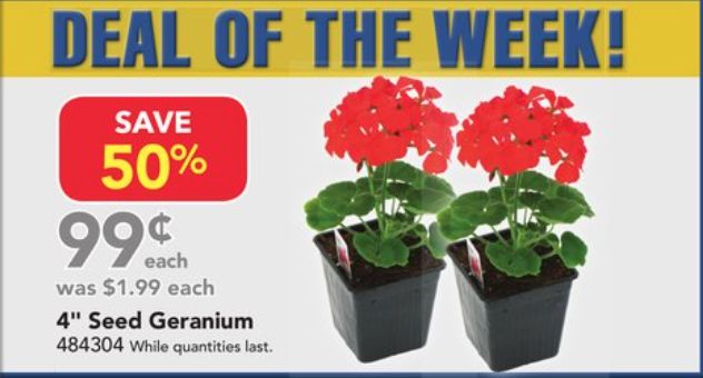 春天买【土】买不对,你家园子秃一年(内附买土折扣) 春天买【土】买不对,你家园子秃一年(内附买土折扣)