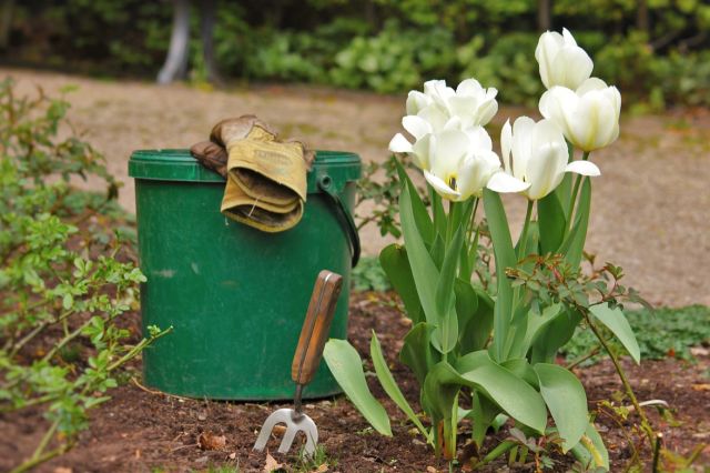 春天买【土】买不对,你家园子秃一年(内附买土折扣) 春天买【土】买不对,你家园子秃一年(内附买土折扣)
