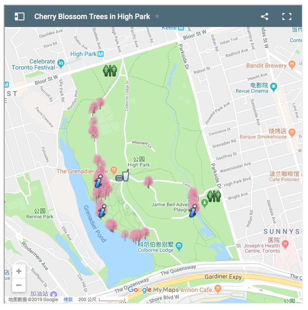 多伦多看樱花总攻略：今年不去High Park人从众𠈌