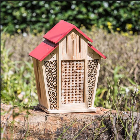 【独家实拍】Costco本周特价：一秒入夏，买点啥？