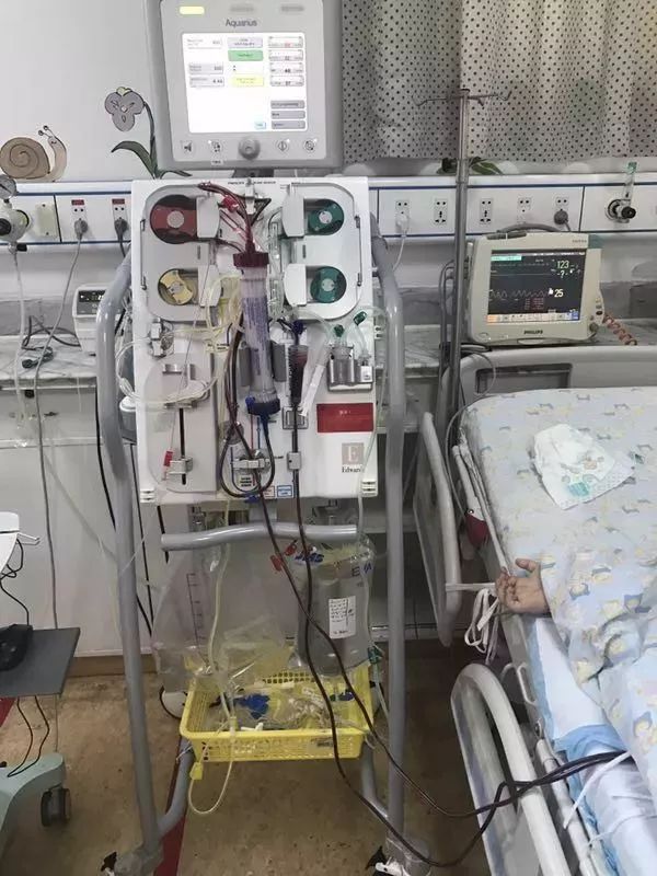 她才7岁,如果没吃那盘黑木耳....这个致命错误很多人会犯 她才7岁,如果没吃那盘黑木耳....这个致命错误很多人会犯