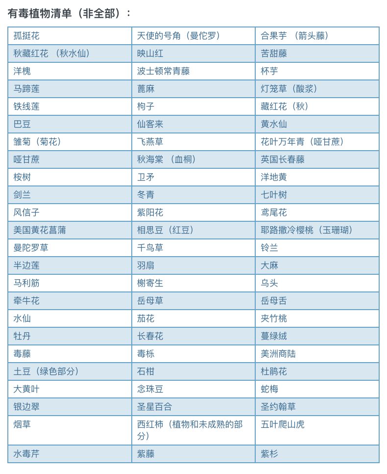 SickKids有毒花卉名单：这些常种的花，轻则过敏，重则致命！