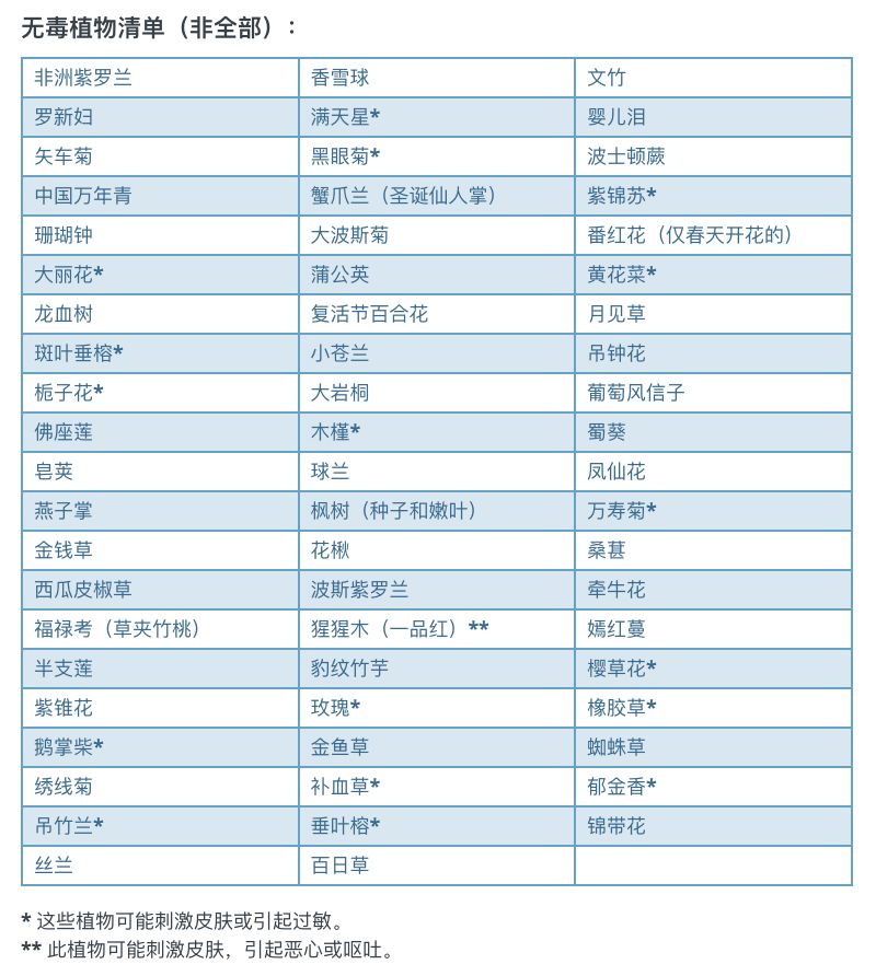 SickKids有毒花卉名单：这些常种的花，轻则过敏，重则致命！