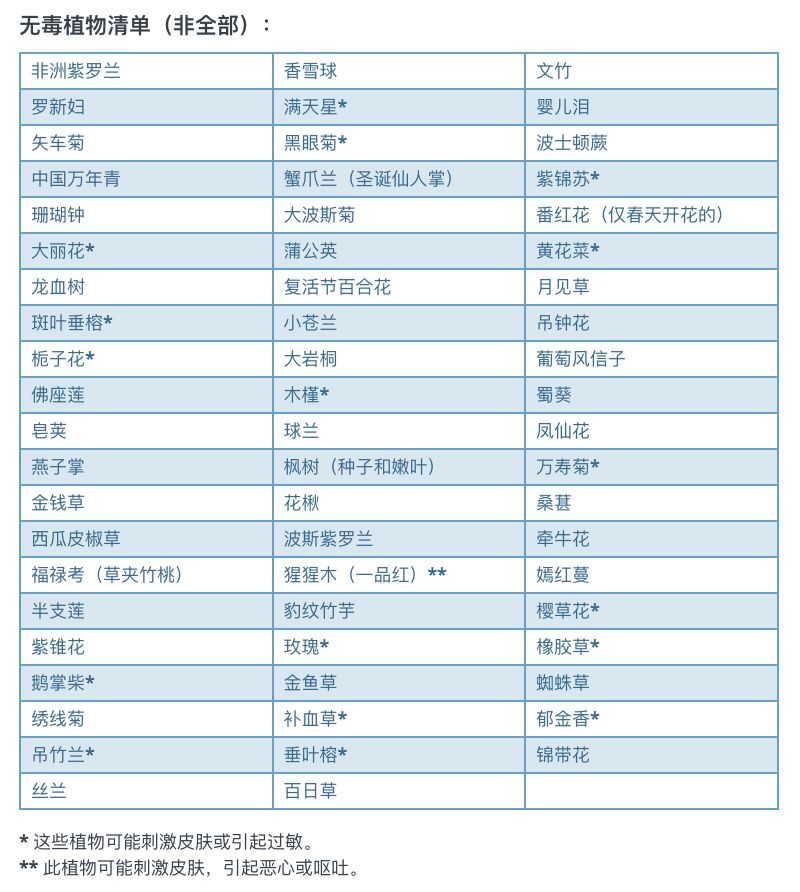 SickKids有毒花卉名单：这些常种的花，轻则过敏，重则致命！