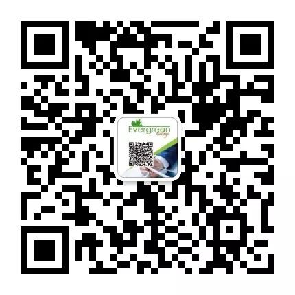 5个娃的CEO 告诉你什么是超级无敌“全值妈妈” 5个娃的CEO 告诉你什么是超级无敌“全值妈妈”