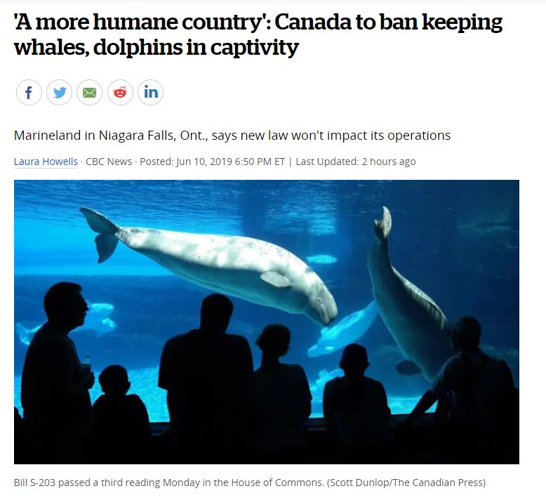 加拿大终于立法禁止圈养鲸鱼:你若不看,它们本可自由! 加拿大终于立法禁止圈养鲸鱼:你若不看,它们本可自由!