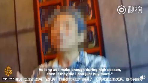 加拿大终于立法禁止圈养鲸鱼:你若不看,它们本可自由! 加拿大终于立法禁止圈养鲸鱼:你若不看,它们本可自由!