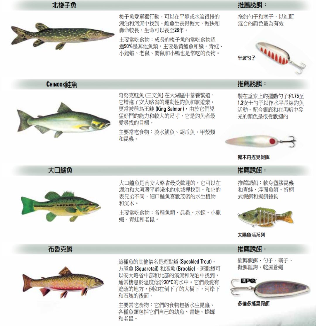 【史上最全】2019家庭钓鱼周准备来袭，在安省钓鱼你需要知道的事！