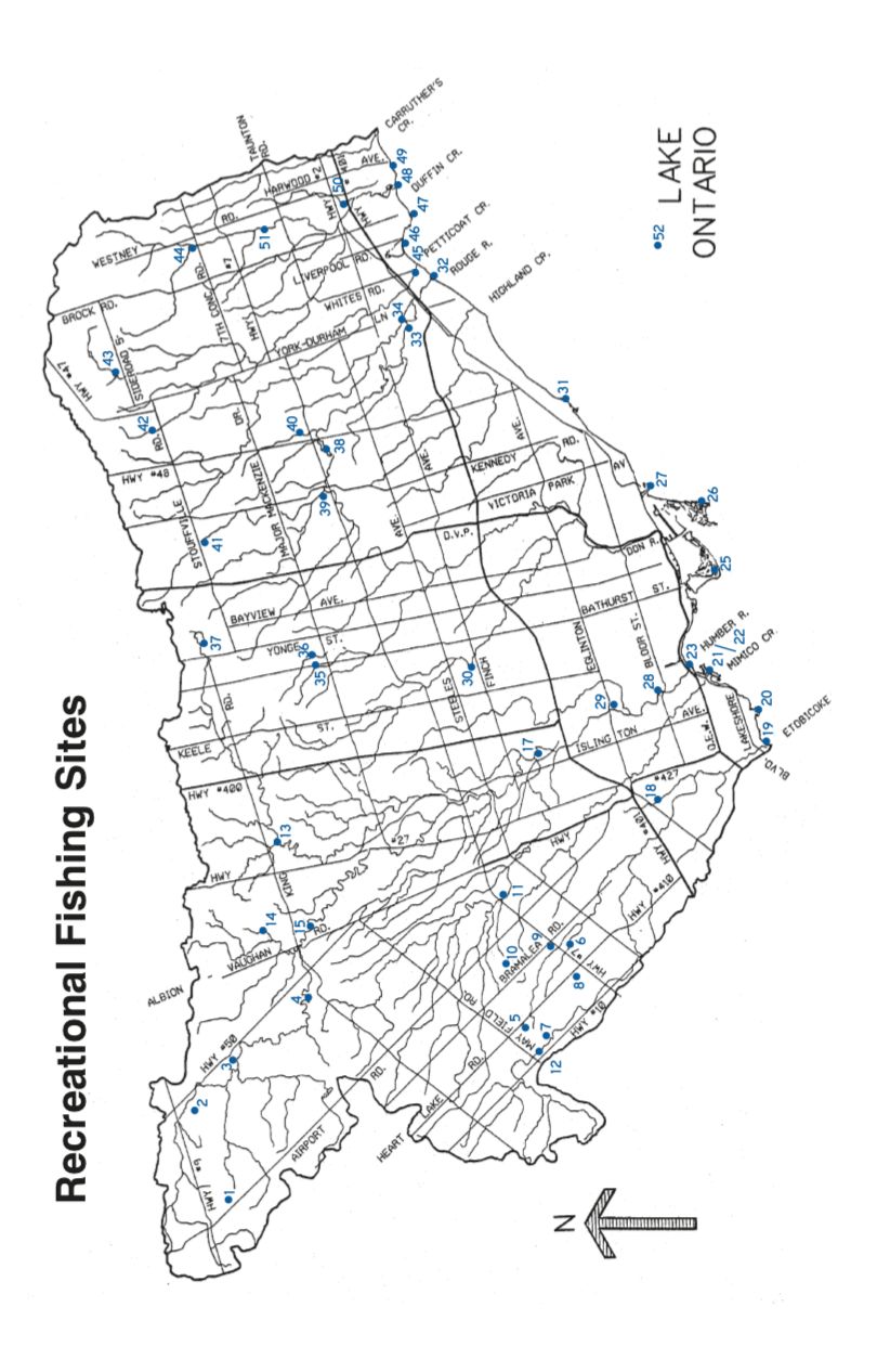 【史上最全】2019家庭钓鱼周准备来袭，在安省钓鱼你需要知道的事！