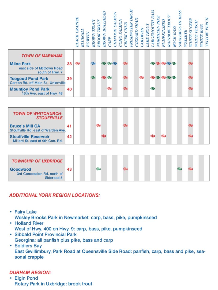 【史上最全】2019家庭钓鱼周准备来袭，在安省钓鱼你需要知道的事！