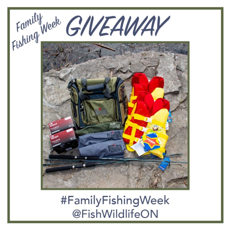 【史上最全】2019家庭钓鱼周准备来袭，在安省钓鱼你需要知道的事！