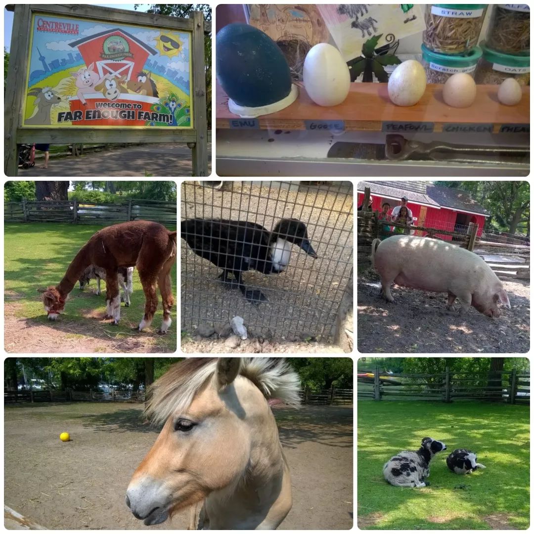 【夏天浪计划】看动物只知道Toronto Zoo？那怎么能行！