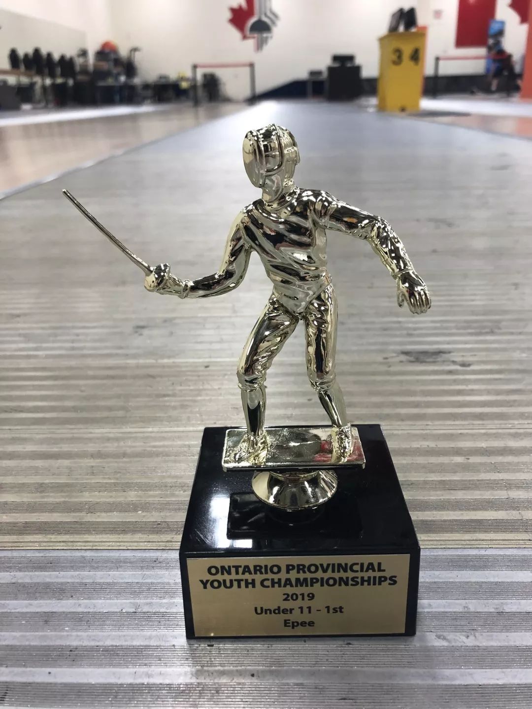 妈妈分享:儿子的习剑参赛记,比赛让击剑艺术升华 妈妈分享:儿子的习剑参赛记,比赛让击剑艺术升华