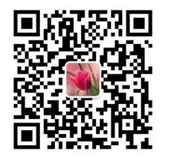 灾难片《放暑假》原班人马倾情打造喜剧大片《娃去夏令营了》 灾难片《放暑假》原班人马倾情打造喜剧大片《娃去夏令营了》