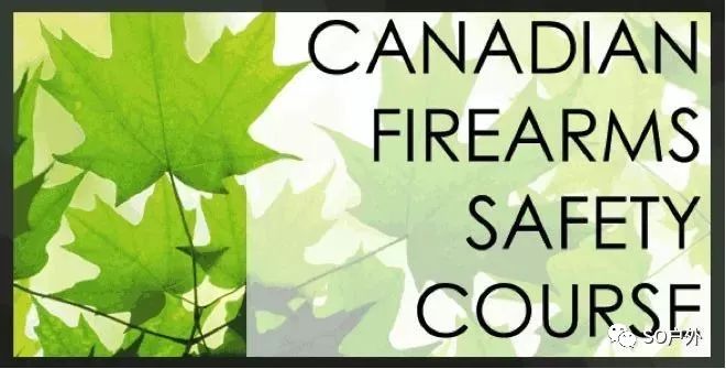 太酷了~~多伦多竟然有这样的射击和射箭夏令营！