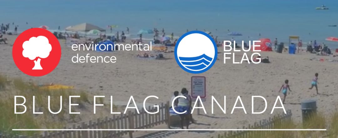 多伦多沙滩全部开放：带娃去耍一定要认准蓝旗标志～