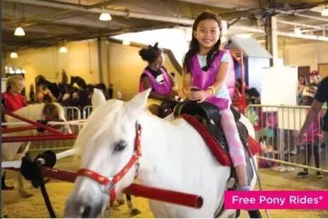 CNE预热：这个周末开始可以去免费骑小马了！