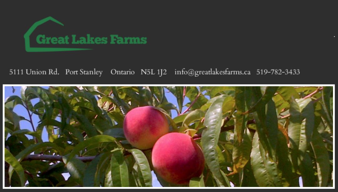 8月鲜桃压枝垂:大多地区摘桃子农场清单!码住! 8月鲜桃压枝垂:大多地区摘桃子农场清单!码住!