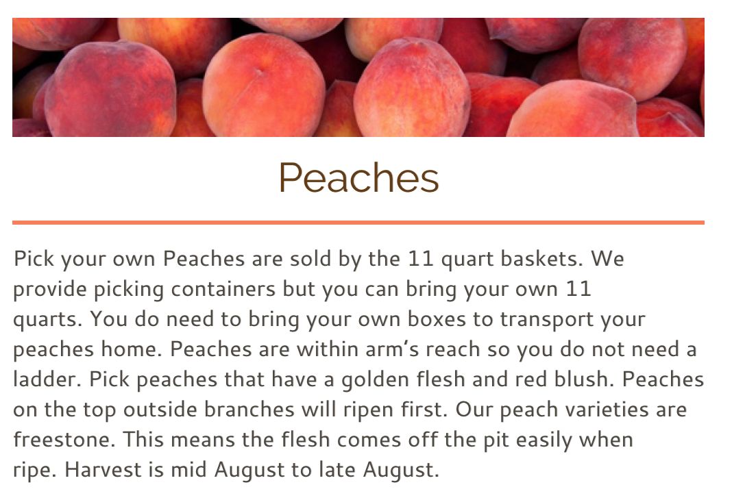 8月鲜桃压枝垂:大多地区摘桃子农场清单!码住! 8月鲜桃压枝垂:大多地区摘桃子农场清单!码住!