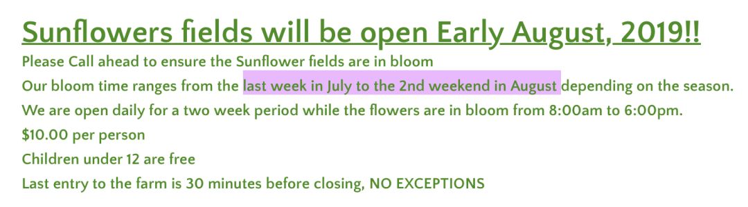多伦多INS风向日葵农场：暑期余额不足！只来得及去看花！
