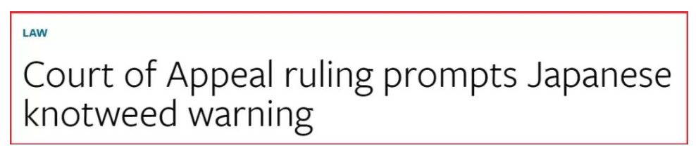 这种植物说:我能让多伦多房价暴跌80%!植物界的灭霸! 这种植物说:我能让多伦多房价暴跌80%!植物界的灭霸!