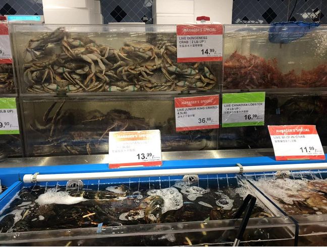 大统华特价实拍：养生要朋克，可乐泡枸杞！