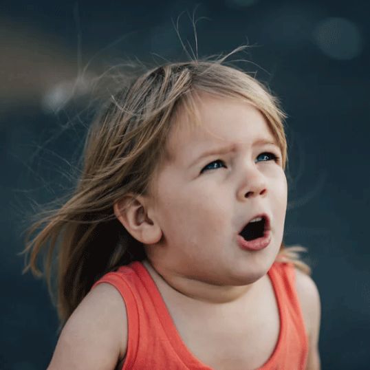 在线求助：我家后院草地上有一窝小刺猬，咋办？