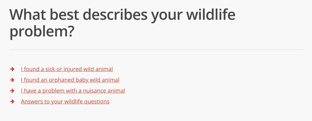 在线求助：我家后院草地上有一窝小刺猬，咋办？