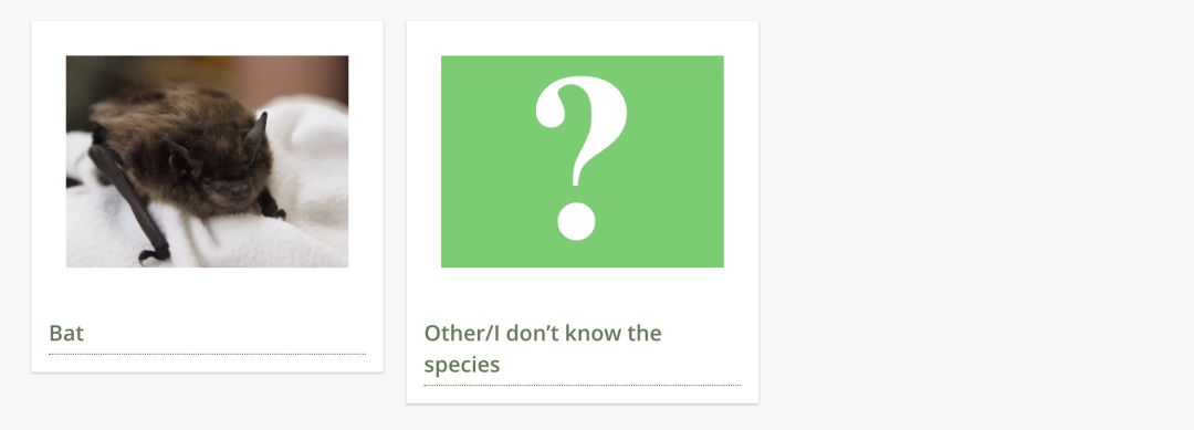 在线求助：我家后院草地上有一窝小刺猬，咋办？