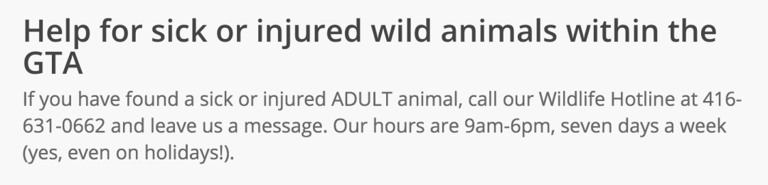 在线求助：我家后院草地上有一窝小刺猬，咋办？