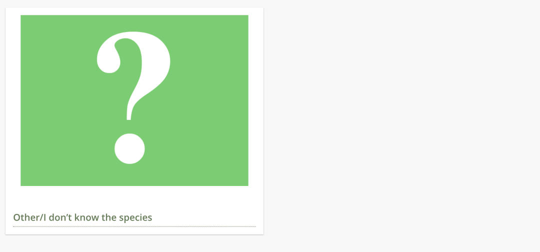 在线求助：我家后院草地上有一窝小刺猬，咋办？