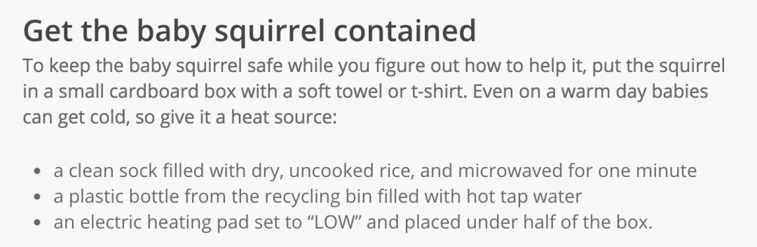 在线求助：我家后院草地上有一窝小刺猬，咋办？