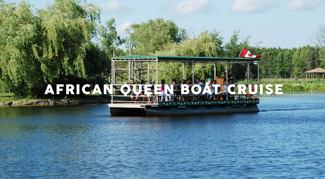 为长周末操碎心：野生动物园Safari一日游打卡实拍攻略