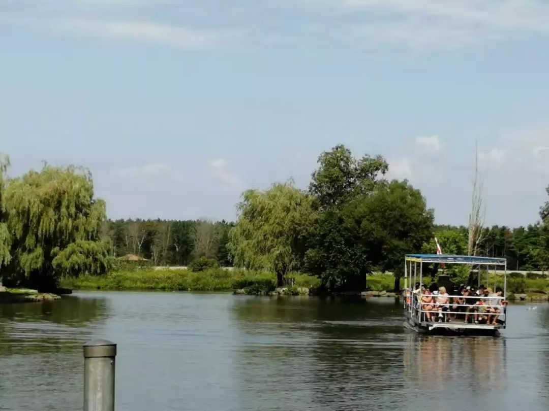 为长周末操碎心：野生动物园Safari一日游打卡实拍攻略