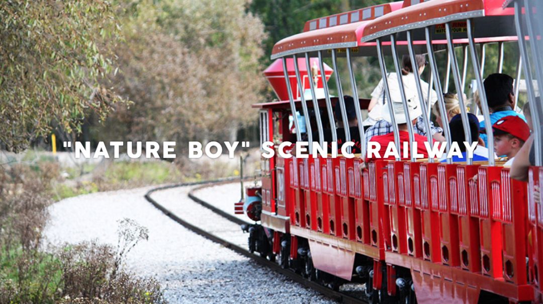 为长周末操碎心：野生动物园Safari一日游打卡实拍攻略